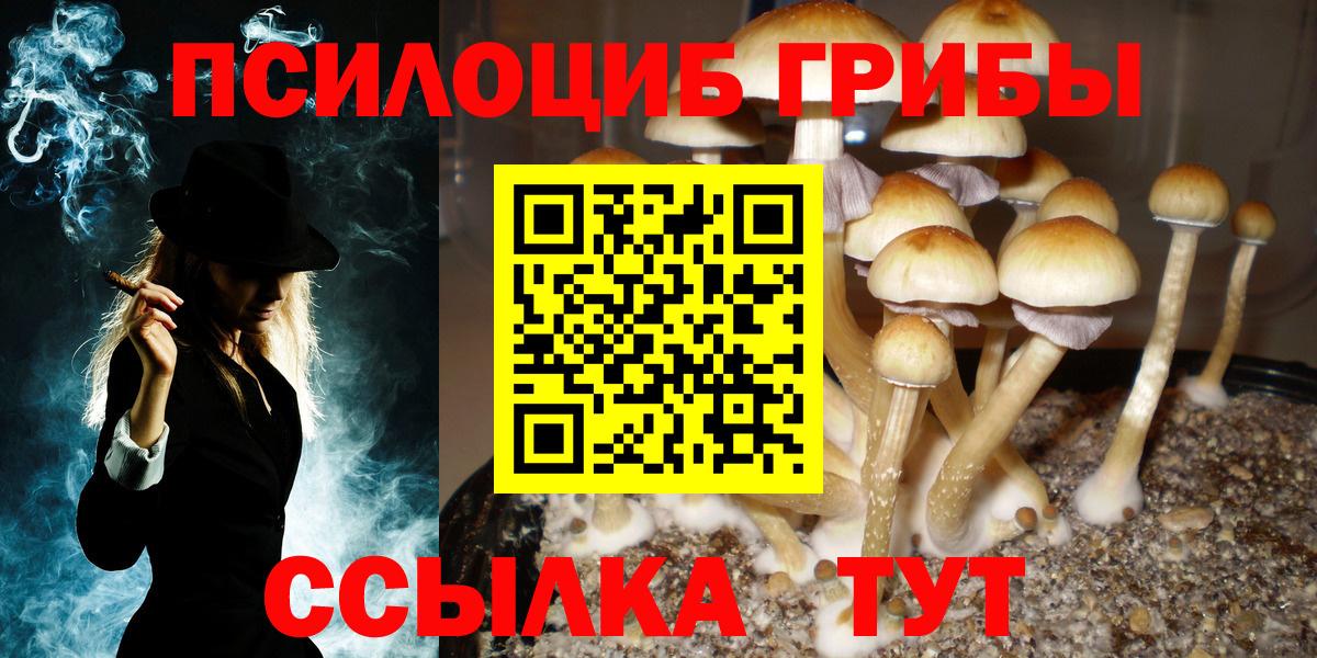 Псилоцибиновые грибы ЛСД Ростов Великий